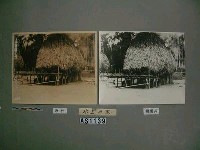 干欄式家屋藏品圖，第6張